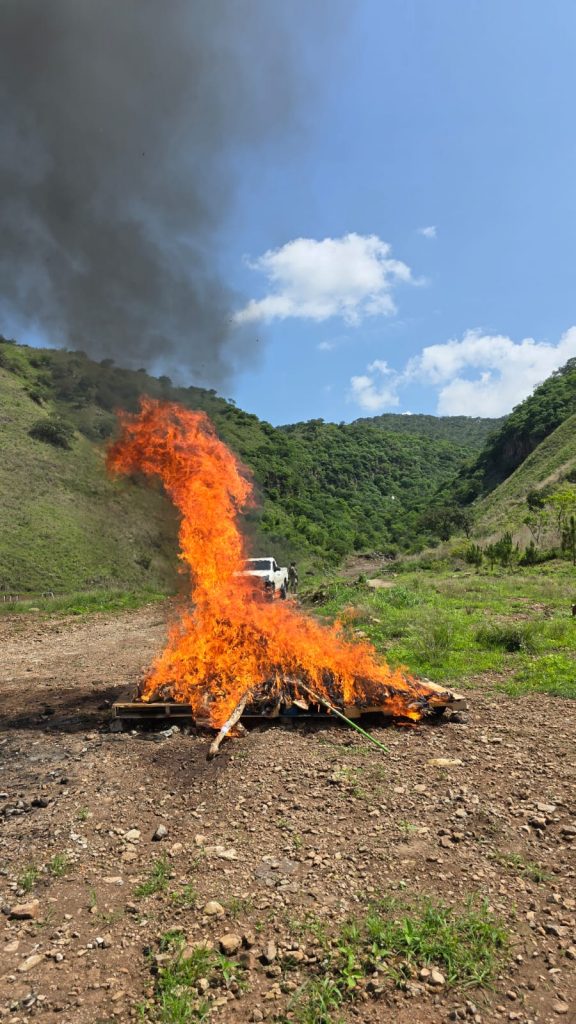 RESULTADOS DE FGR EN EL MES DE JULIO DEL AÑO 2025 EN NAYARIT