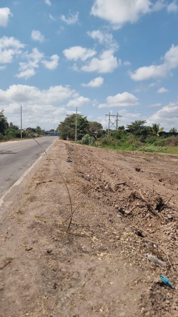 GOBIERNO AMIGO REALIZA TRABAJOS DE LIMPIEZA EN CARRETERA DE SAN VICENTE, ROSAMORADA