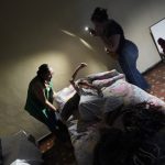 Gobierno del Estado, DIF Nayarit y Fiscalía devuelven bienestar a dos personas adultas mayores en Tepic