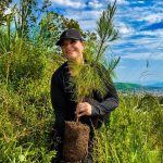 PLANTAN 5 MIL ÁRBOLES EN EL CERRO DE SAN JUAN DURANTE JORNADA NACIONAL DE REFORESTACIÓN