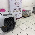 ALBERGUE DEL CETIS 100 EN TEPIC TAMBIÉN RECIBE A LAS MASCOTAS