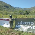 Mesa de la Paz reporta resultados en Nayarit
